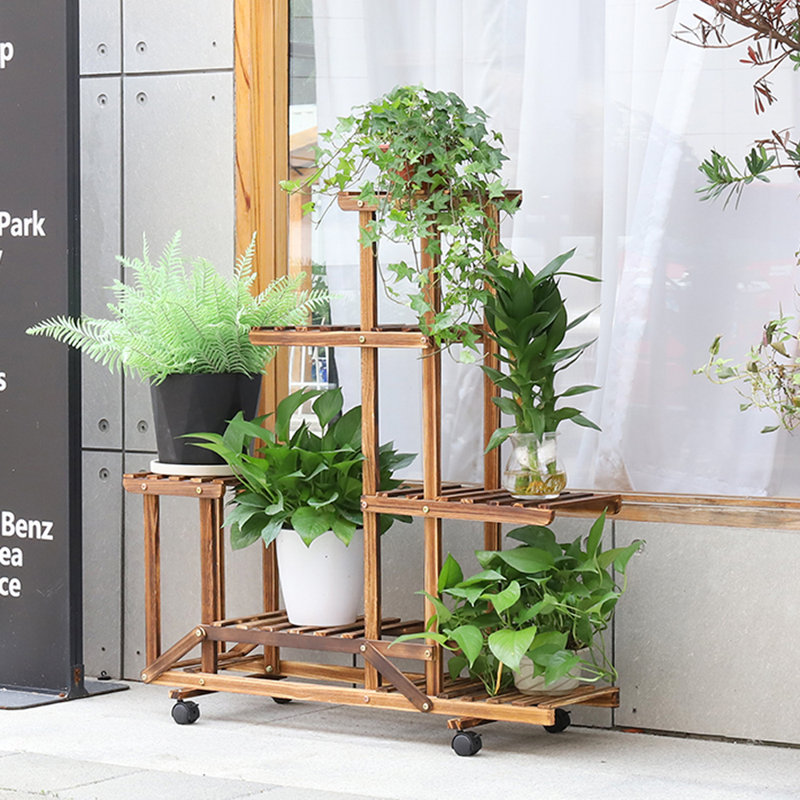 Millwood Pines Munos Free Form Multi-Tiered Plant Stand & Reviews